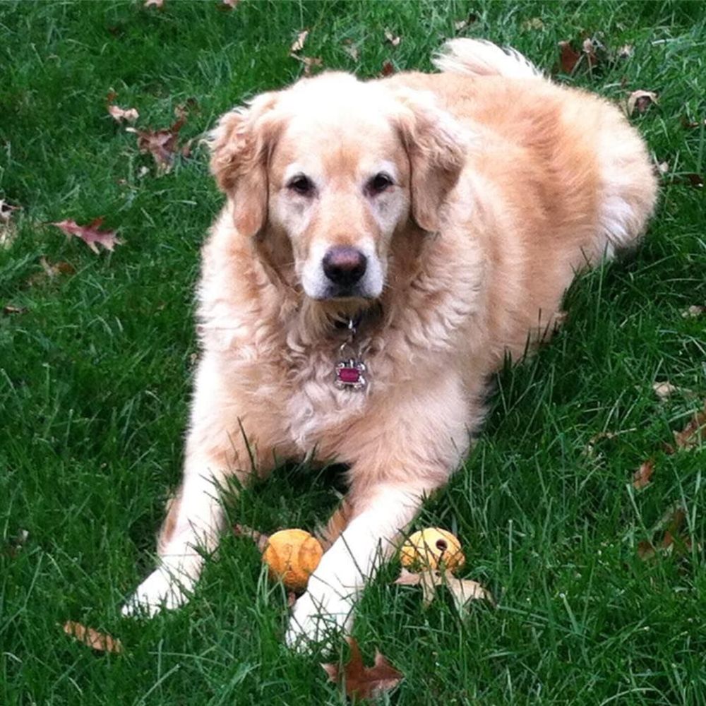 Meet your Posher, Christa